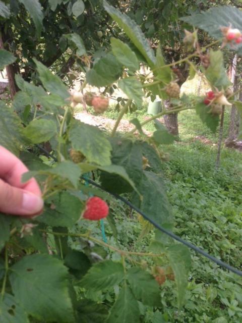 Agriturismo I Due Regni Petrella Salto 外观 照片