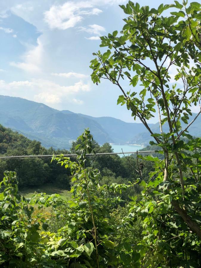 Agriturismo I Due Regni Petrella Salto 外观 照片